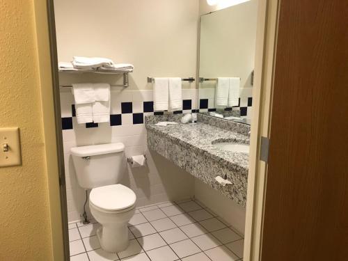 a bathroom with a toilet and a sink at AmericInn by Wyndham Hotel and Suites Long Lake in Long Lake