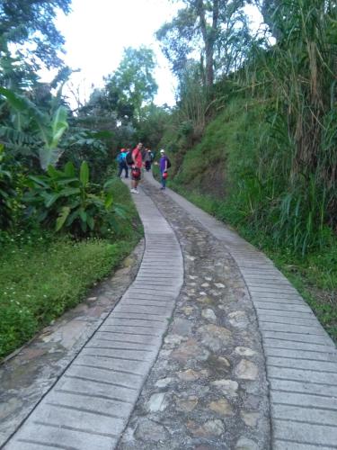 a group of people walking down a path at Casa finca El Girasol in Guayabal de Síquima