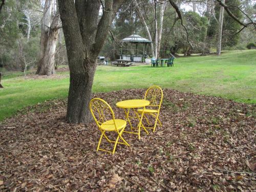 a wooden bench sitting in the middle of a park at Alpine Park Riverside Cottages in Porepunkah