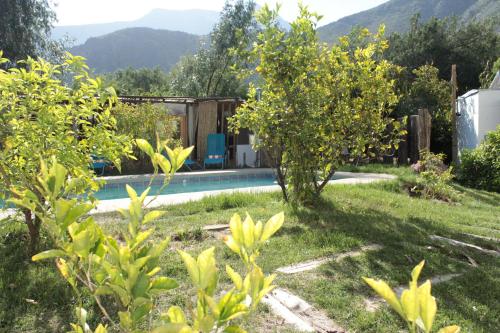 a garden with a swimming pool and some trees at Organica Lodge Hotel Boutique in Vicuña