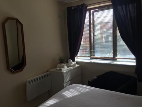 1 dormitorio con cama, espejo y ventana en Dublin North Apartment, en Raheny