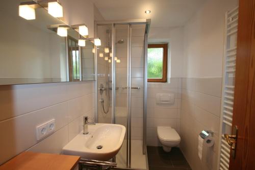 uma casa de banho com um lavatório, um chuveiro e um WC. em Ferienwohnung Kühny Reute em Reute