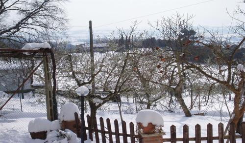 a fence covered in snow with a fire hydrant at Belvedere Cramaccioli in Vigne