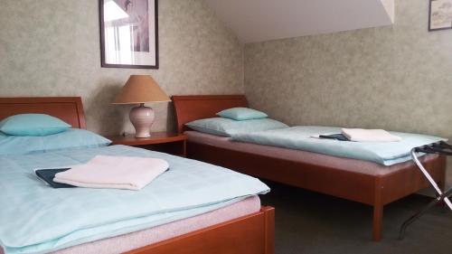 2 camas individuales en una habitación con lámpara en Pension U Labe, en Hradec Králové