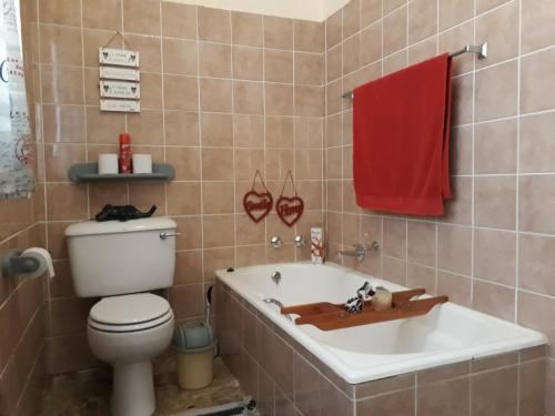 a bathroom with a toilet and a bath tub at Stiltevrede in Upington