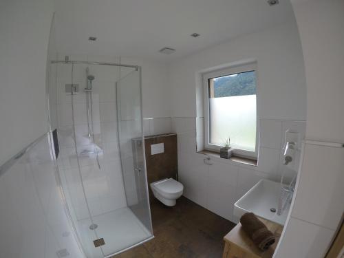 ein Bad mit einer Dusche, einem WC und einem Waschbecken in der Unterkunft Appart Stefanie in Sankt Gallenkirch