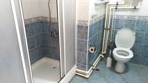 a bathroom with a toilet and a shower stall at Kevin's Hostel in Istanbul