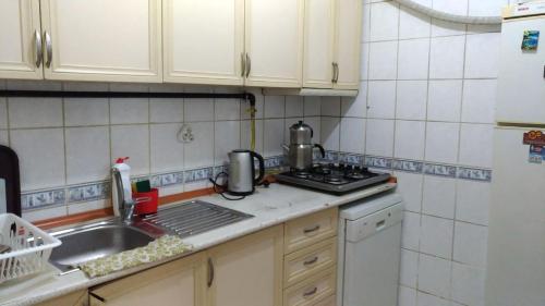 Il comprend une cuisine équipée d'un évier et d'une cuisinière. dans l'établissement Kevin's Hostel, à Istanbul