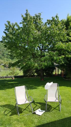 two chairs sitting in the grass under a tree at Affittacamere Valnascosta in Faedis