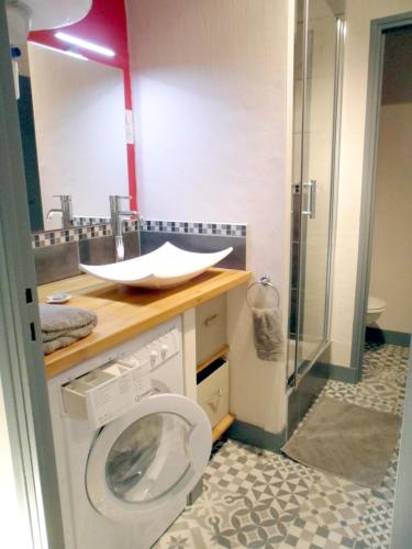 La salle de bains est pourvue d'un lave-linge et d'un lavabo. dans l'établissement GITE DE LA TOUR DE GUISE 1, à Tours