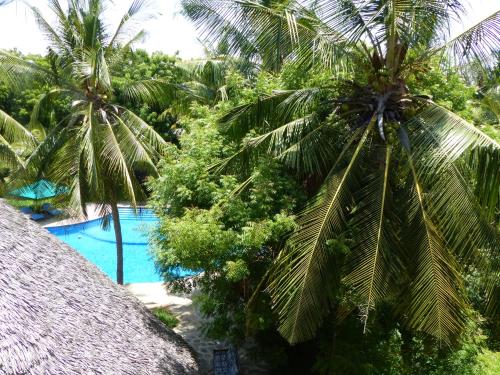 Kolam renang di atau dekat dengan Residence Maison Müge