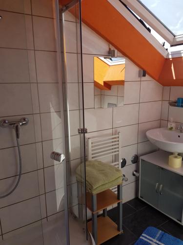 a bathroom with a shower and a sink at Casa Patrizia in Schwangau
