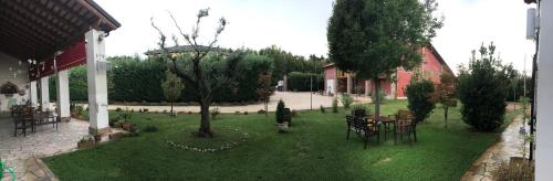 a garden with tables and chairs and a tree at Agriturismo Corte Del Brenta in Oriago Di Mira