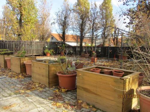 a garden with a bunch of potted plants at Villa Tollazzi in Logatec