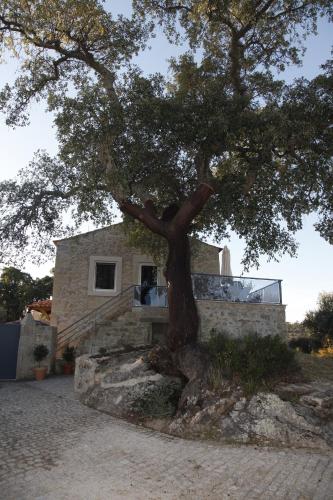 a tree sitting on a rock in front of a house at Casas do Regato in Castelo Branco