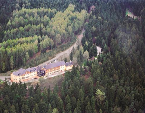 Příroda nedaleko hotelu