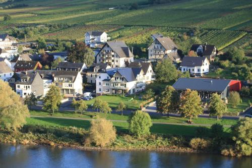 an aerial view of a town next to a river at Weinbergs Loge in Ernst