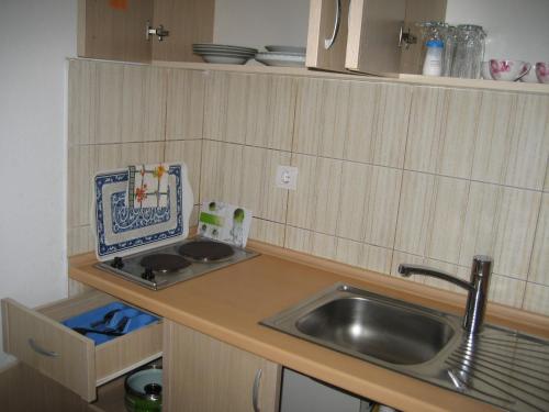 Kuchyň nebo kuchyňský kout v ubytování Guest House Vila Mimoza