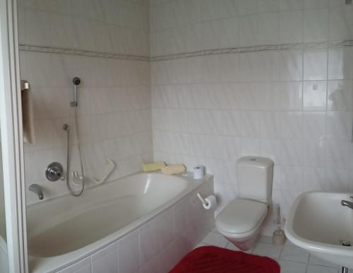 a bathroom with a tub and a toilet and a sink at Traditionsgasthof Zum Luedertal in Bimbach