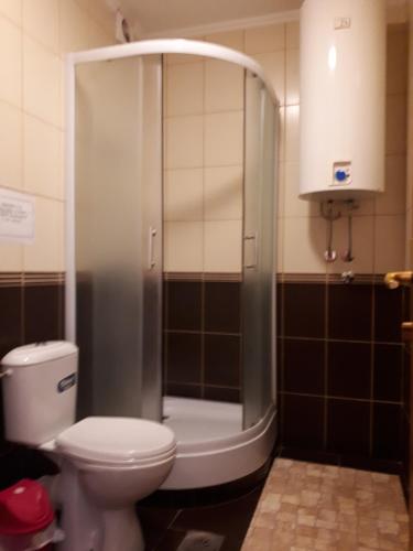 a bathroom with a shower and a toilet in it at Business Club Selenča in Bač