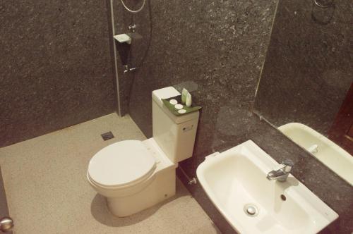 a bathroom with a toilet and a sink at Abeth's Haven in Puerto Princesa City