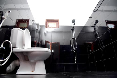 a bathroom with a toilet and a shower at Nine Arch Gap in Ella