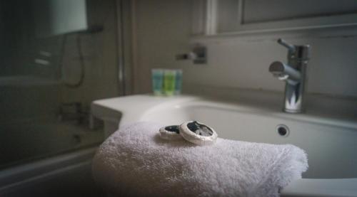 Un baño de The Racecourse Gathering