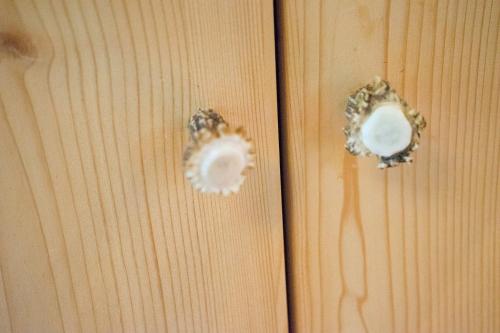 two pieces of wood with knobs on them at Am Berg 34 in Maria Alm am Steinernen Meer