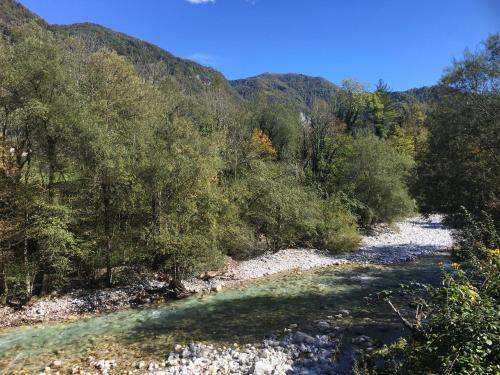 a river in the middle of a forest at Apartment Maruška in Tolmin