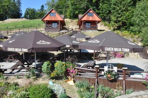 a group of umbrellas and tables with plants at Chata Wuja Toma in Szczyrk