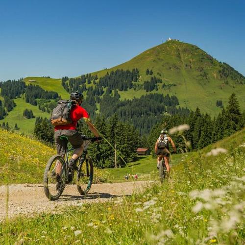 two people riding bikes on a mountain trail at "sunnseit" Appartement in Söll