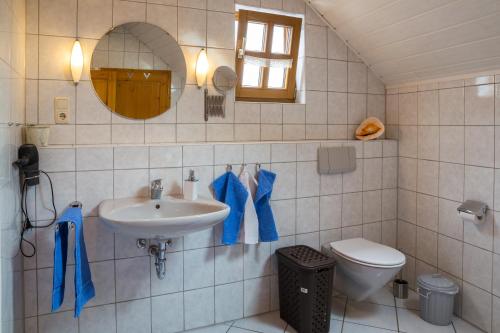 a bathroom with a sink and a toilet and a mirror at Ferienhaus Marie in Bremm