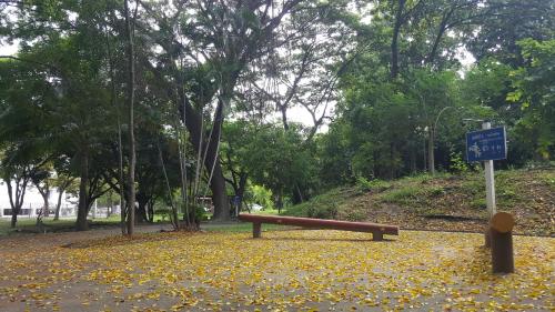 a bench sitting on a pile of leaves in a park at Aunt & Uncle's House in Chiang Mai