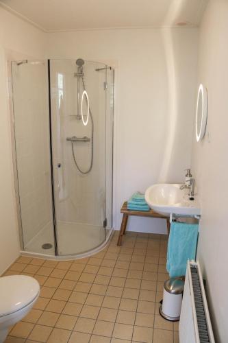 a bathroom with a shower and a sink at Logement Nij Bonga Holwerd in Holwerd