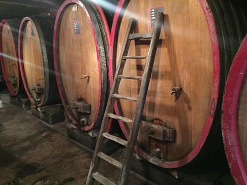 a ladder leaning against a row of wine barrels at Le p'tit coin de chez nous in Dambach-la-Ville