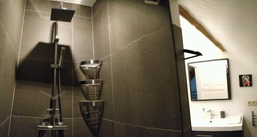 Koupelna v ubytování de Twie Keuninge