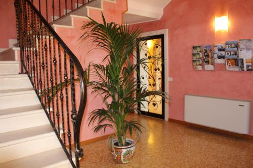 a potted plant in a hallway with a staircase at Cà Rocca Relais in Monselice