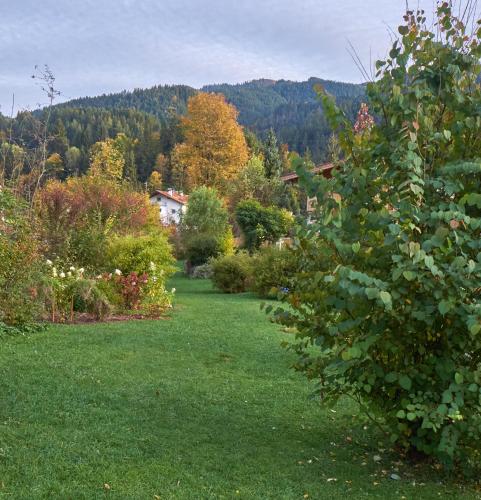 a garden with green grass and trees in the background at Pension Aloisia in Scheffau am Wilden Kaiser