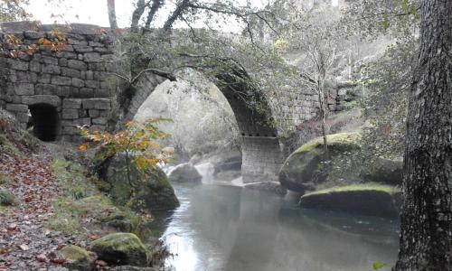 a stone bridge over a river in a forest at Casa Amarante Porto in Amarante