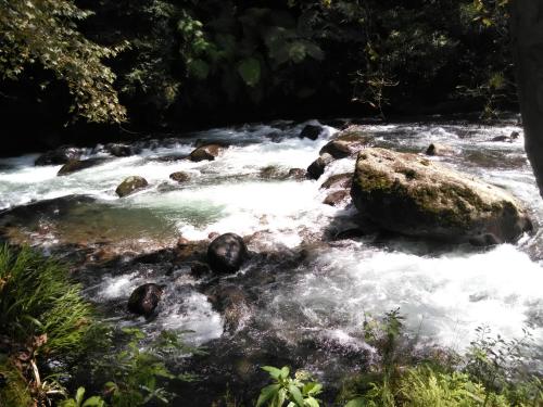 a stream with rocks in the middle of a river at Casa de campo vacacional "Tres Soles" en Xico, Veracruz in Xico