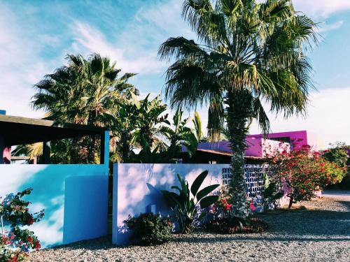 The Hotelito – Photos 3