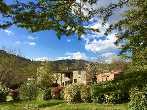 Agricola Caicucci – Photos 4