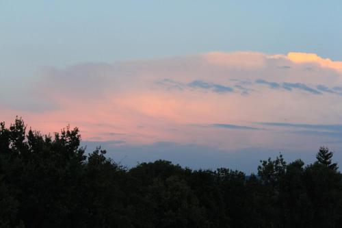 a cloudy sky with trees in the foreground at MariaPrimaVera Apartment am Kurpark mit Schwarzwaldblick * * * * in Bad Krozingen