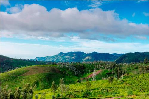Un paisaje natural cerca of the bed and breakfast