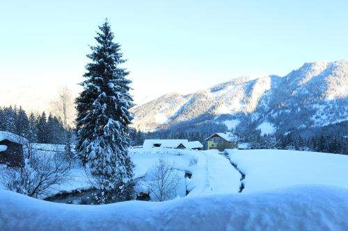 a snow covered yard with a tree and a house at Ferienhaus am Mühlbach in Gams bei Hieflau