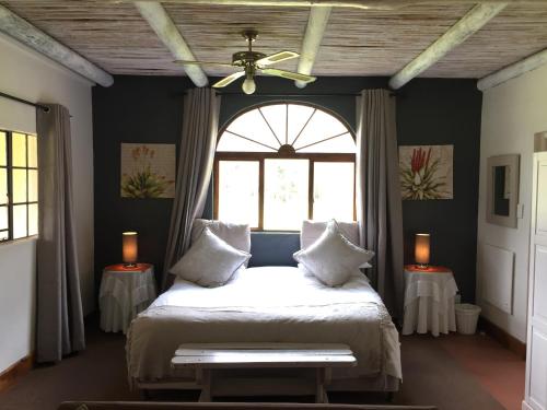 Schlafzimmer mit einem Bett, einem Deckenventilator und einem Fenster in der Unterkunft Franschhoek Country Cottages in Franschhoek