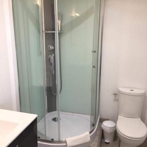 a bathroom with a shower with a toilet and a sink at Domaine de Bel Air in Cérans-Foulletourte