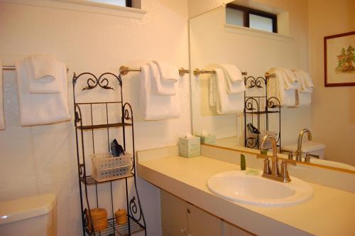 bagno con lavandino e specchio di 23A Big Cedar a Wawona