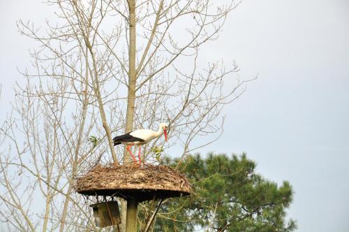 Gambar di galeri bagi Roulotte Beaulieu di Saint-Jean-dʼAngle