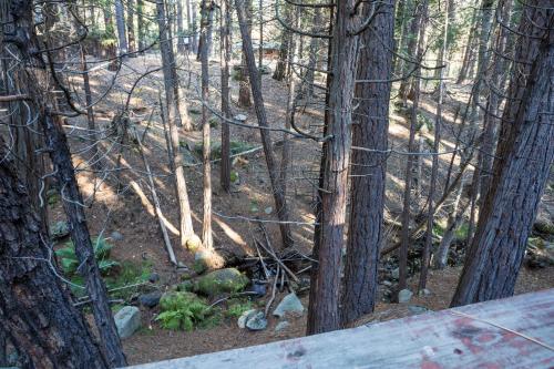 4 Pine Creek Cabin – Photos 4